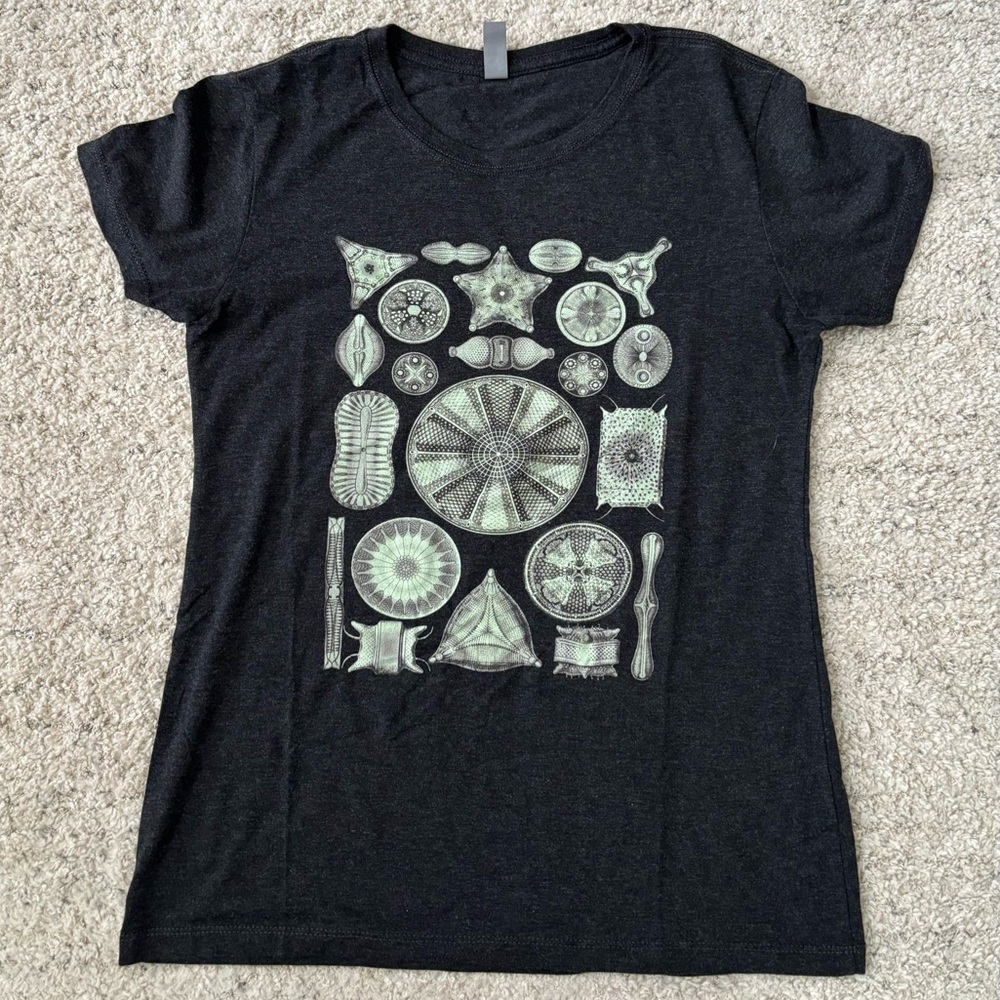 Next Level Apparel Shirt